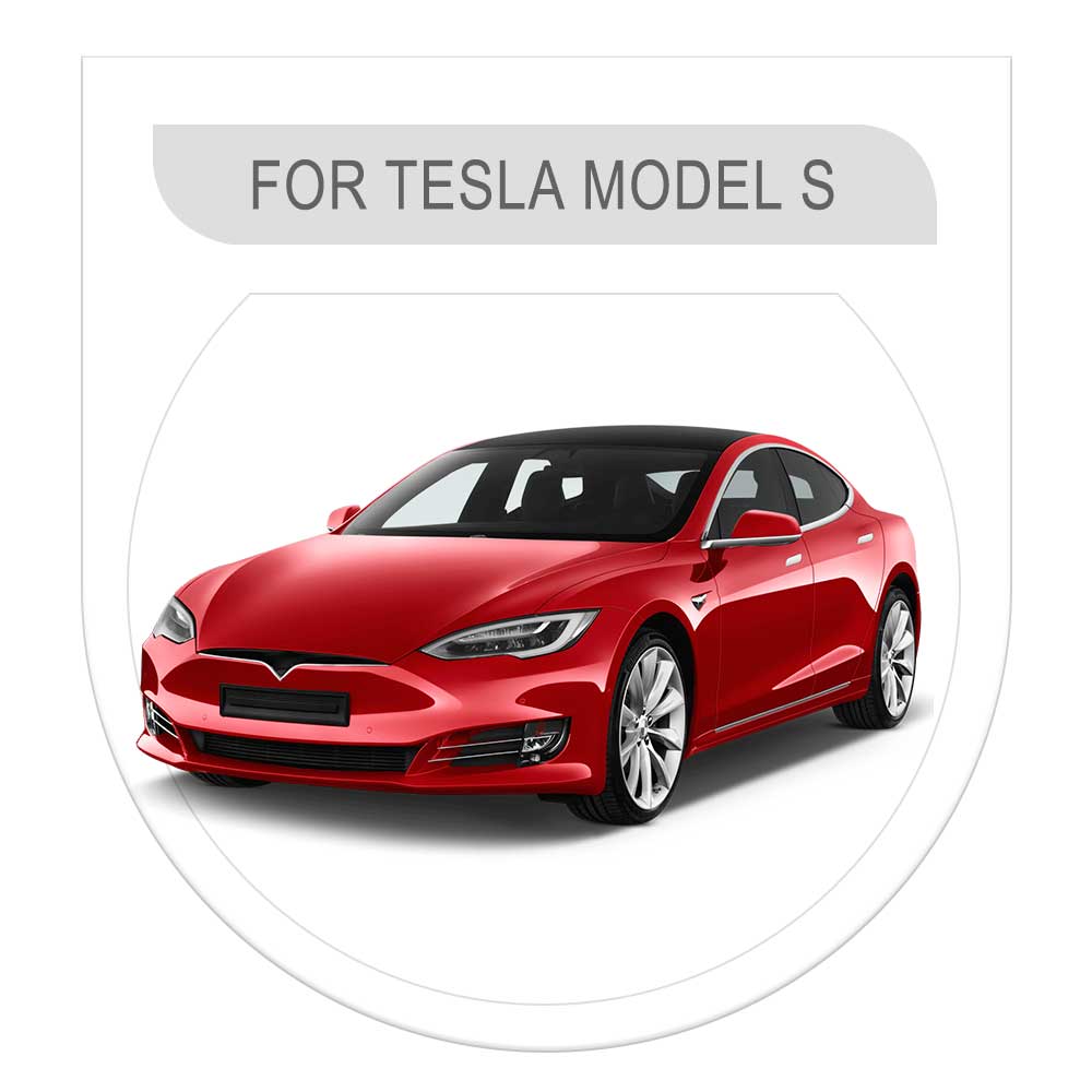 Model S Model X