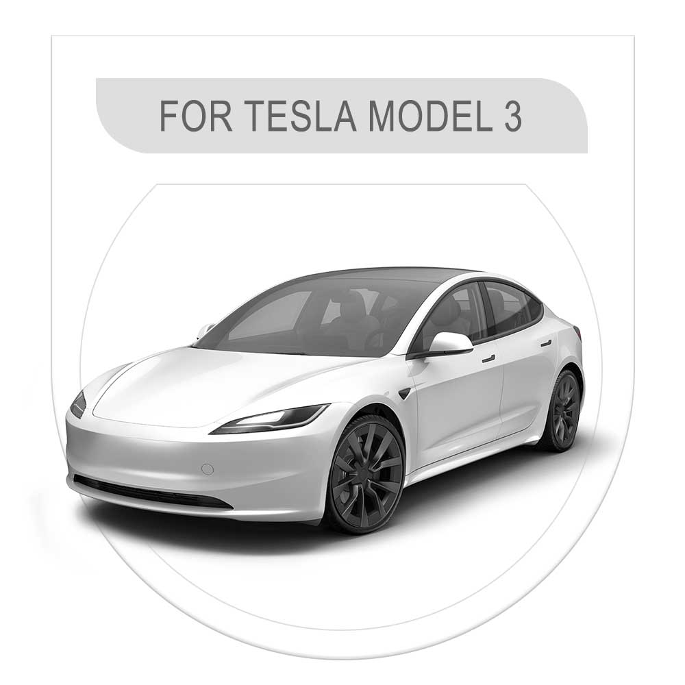 Model 3 Model Y